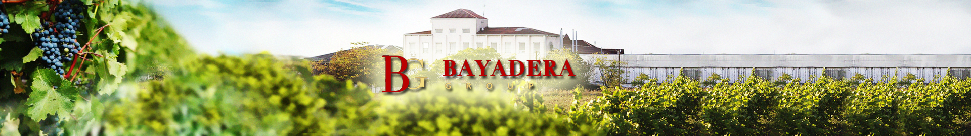Bayadera Group Bayadera Group