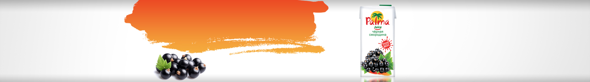 Черная смородина 